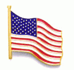 United States Flag Lapel Pin - Gold