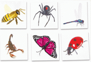 Bug & Insect Tattoos