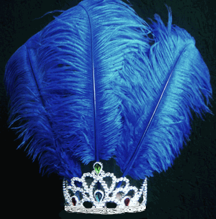 Make an Ostrich Feather Crown