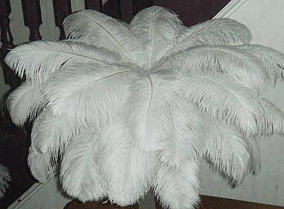 Large Ostrich Drab Feather Centerpiece Kit