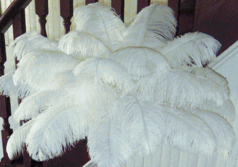 White Ostrich Feather Wedding Centerpieces