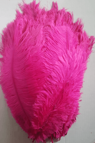 2nds - Fuschia Drab Ostrich Feathers