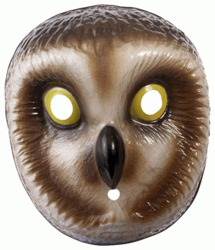 Kids Owl Party Mask