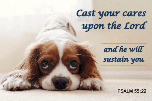 Cast Your Cares Puppy Pocket Card