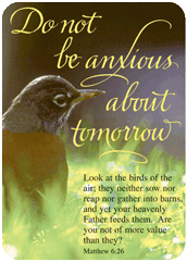Do Not be Anxious Pocket Card