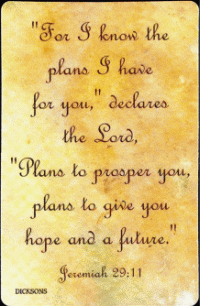 For I Know the Plans - Jerimiah 29:11 Pocket Card