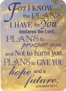 For I Know the Plans Pocket Card