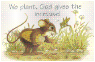 God Gives the Increase Critter Pocket Card