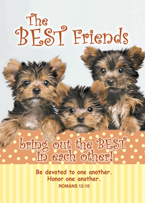 The Best Friend Puppies Pocket Cards