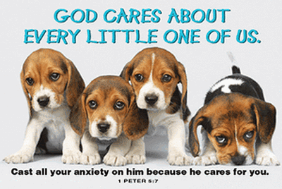 God Cares Puppies Pocket Card