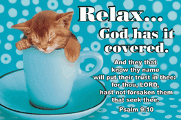 Relax Kitty Pocket Card