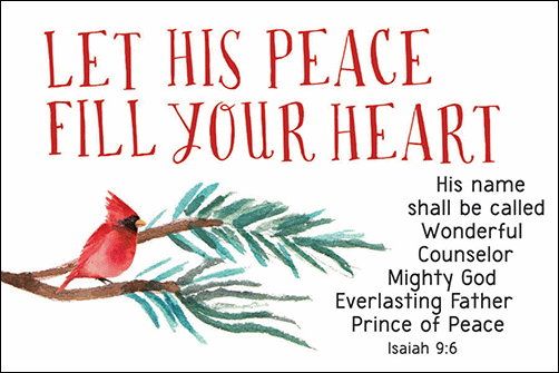 Prince of Peace Christmas Pocket Cards