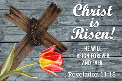 Christ is Risen Wooden Cross & Tulip Pocket Cards