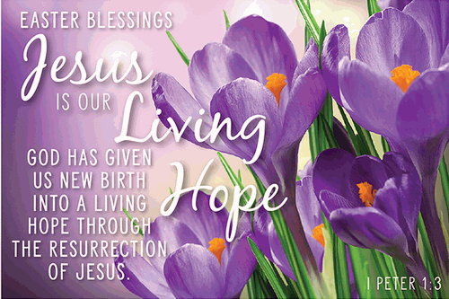 Easter Blessings - Jesus is Our Living Hope Pocket Cards