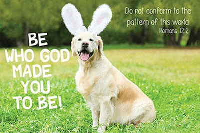 Be Who God Made You Rabbit Pocket Cards