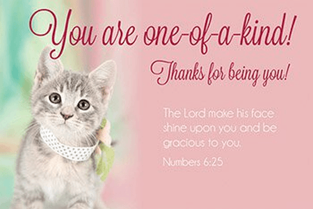 You are One-of-a-Kind Kitty Pocket Cards
