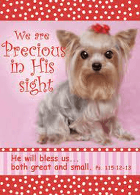 We are Precious in his Sight Pocket Cards