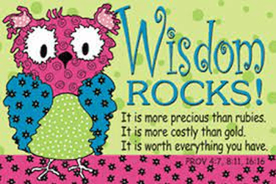 Wisdom Rocks Owl Pocket Cards