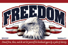 Freedom Eagle Pocket Card