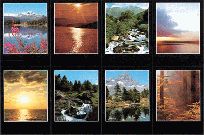 Nature Scenes Assorted Pocket Cards - Sheet of 8