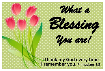 What a Blessing You are Pocket Card