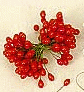 Red Holly Berries