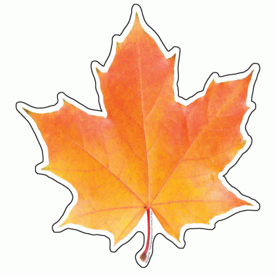 Class Deco Autumn Leaf Cut-Out - OUT OF STOCK