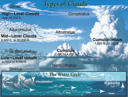 Types of Clouds Weather Chart