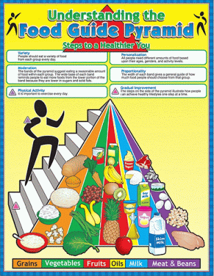 The Food Pyramid Chart