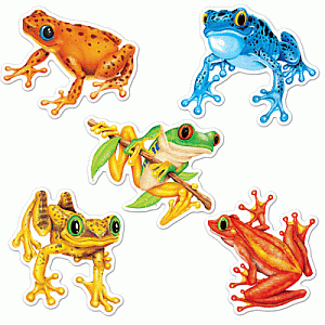 Colorful Frog Decorations