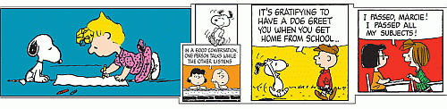 Peanuts Cartoon Strip Bulletin Trim