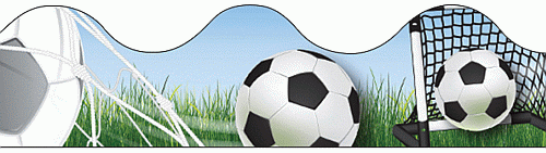 Soccer Ball Bulletin Border - OUT OF STOCK