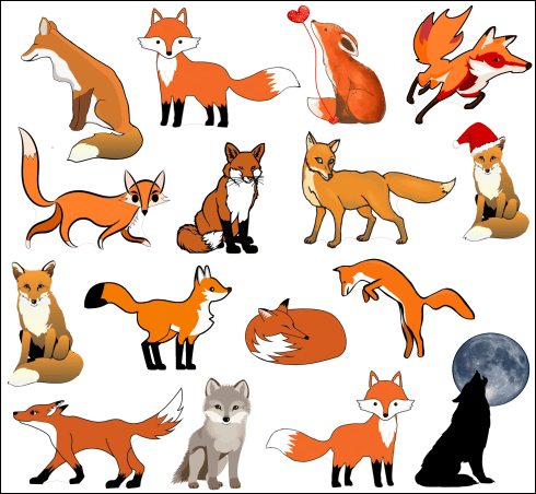 Funny Sly Foxes Stickers