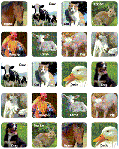 Labeled Farm Animal Stickers