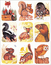 Wild Animals Stickers