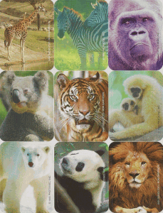 Animals of the Zoo Stickers