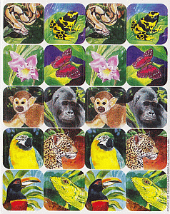 Animals of the Rain Forest Stickers