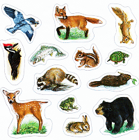 Woodland Forest Animal Stickers