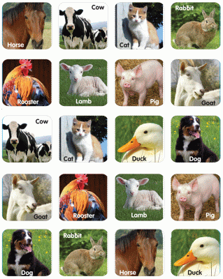 Farm Animal Stickers