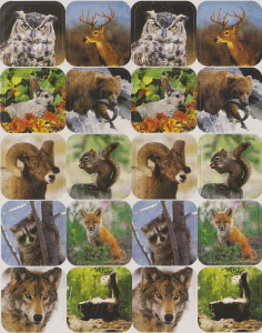 Animals in Nature Sticker
