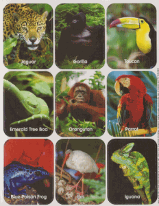 Rain Forest Animal Stickers