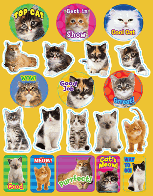 Positive Kitten Stickers