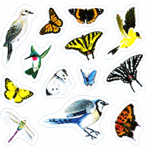 Garden Birds & Butterflies Stickers