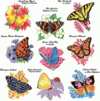 Gods Beautiful Butterflies Stickers