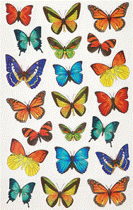 Pretty Butterfly Stickers