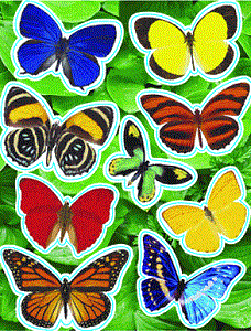 Large Butterfly Glitter Stickers - Full Color