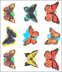 Large Butterfly Stickers - ON SALE