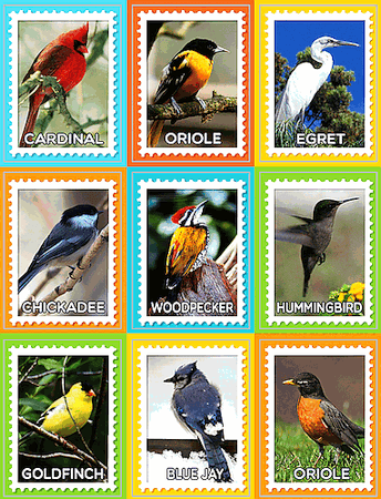 Photo Stamp Style Bird Stickers