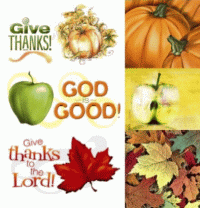 Give Thanks to the Lord Stickers
