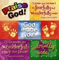 Wonderfully Made Pro-Life Stickers - Psalms 139:14